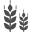 植物系